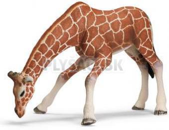 Schleich -  Žirafa pijúca, samica