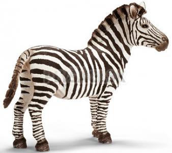 Schleich -  Zebra, samica