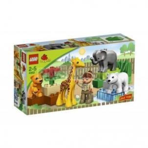 LEGO Duplo Legoville - Baby ZOO