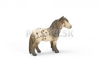 Schleich -  Poník Falabella