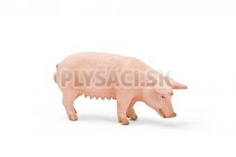 Schleich -  Prasnica