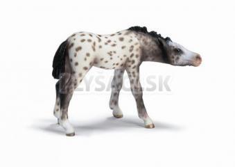 Schleich - Žriebä Grošáka Knabstupper sajúce