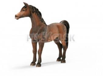 Schleich - Arabský žrebec