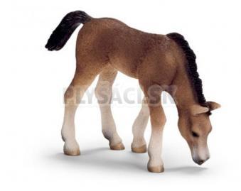 Schleich - Arabské žriebä pasúce sa