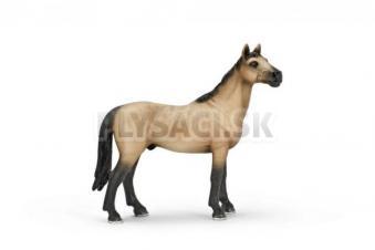 Schleich - Akhal kôň