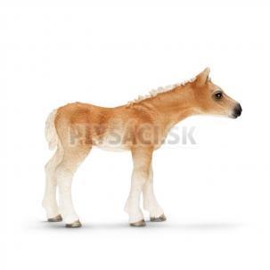 Schleich - Žriebä koňa haflingského