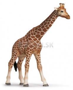 Schleich - Žirafa