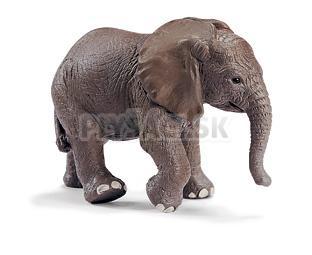 Schleich - Mláďa slona afrického