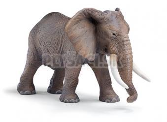 Schleich - Slon africký
