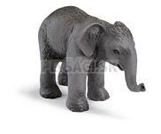 Schleich - Mláďa slona indického