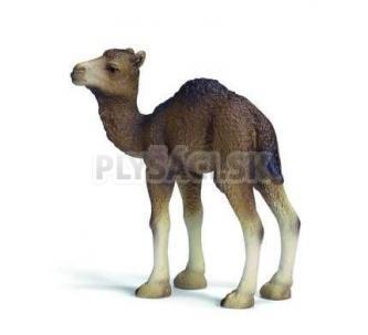 Schleich - Mláďa ťavy jednohrbej