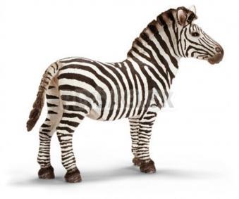 Schleich - Samec zebry