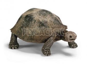 Schleich - Korytnačka obrovská