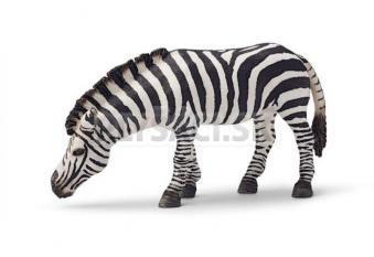Schleich - Zebra na pastve
