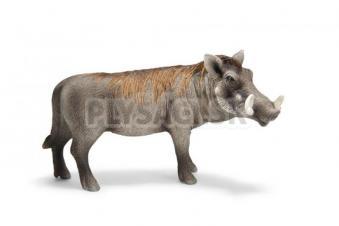 Schleich - Prasa bradavičnaté - kanec