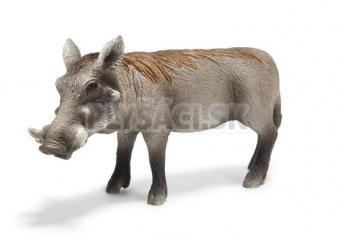 Schleich - Prasa bradavičnaté - prasnica