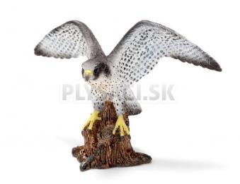 Schleich - Sokol sťahovavý