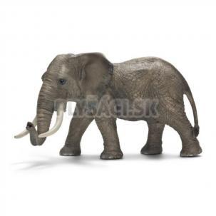 Schleich - Slon africký