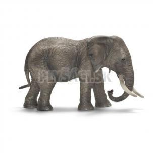 Schleich - Slonica africká