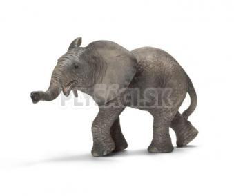 Schleich - Sloník africký