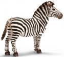 Schleich -  Zebra, samica