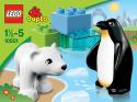 LEGO Duplo Legoville - ZOO kamaráti