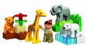 LEGO Duplo Legoville - Baby ZOO