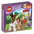 LEGO Friends - Olívia má žriebätko