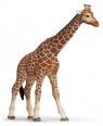 Schleich - Žirafa