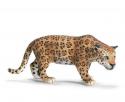 Schleich - Jaguár