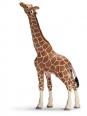 Schleich - Samec žirafy pasúci sa