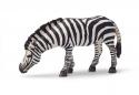 Schleich - Zebra na pastve