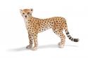 Schleich - Gepard samica