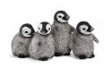 Schleich - Mláďatá tučniaka patagonského