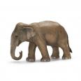 Schleich - Samica slona ázijského