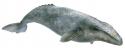 Schleich - Vráskavec sivý