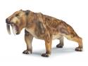 Schleich - Tiger šabľozubý